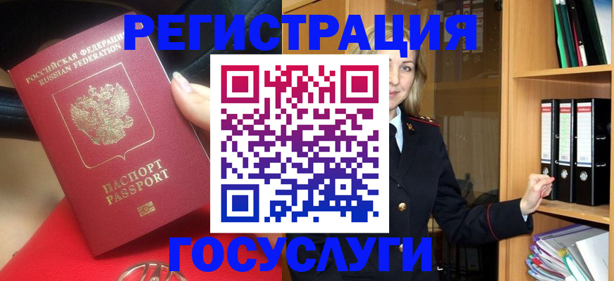прописка поиск в Новосибирской области